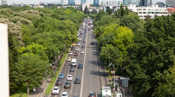 cine este oana radulea cea care doneaza bucurestiului un teren de 13 milioane de euro mega proiecte pentru bucuresti in sedinta cgmb