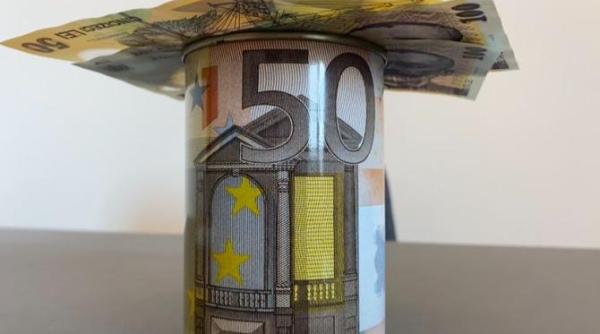 cati bani pierde romania dupa scutirea multinationalelor povara fiscala pe umerii populatiei si imm urilor