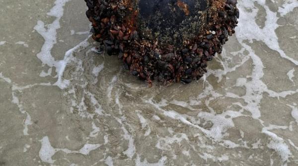 mina marina descoperita la vadu a fost neutralizata