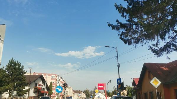 urs cu pui in gura humorului in plina zi oamenii au fost avertizati prin ro alert