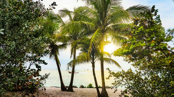 alesii locali trimisi la studiu in miami ca sa combata saracia din romania de oriunde se poate invata cate ceva