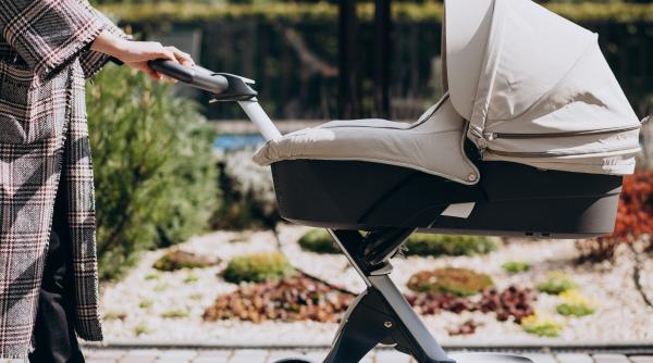 psd depune trei initiative legislative romeo daniel lungu ce scutiri sunt prevazute pentru mame si veterani