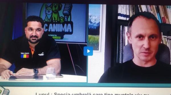 specia umbrela care tine muntele viu dr cristian remus papp wwf romania video