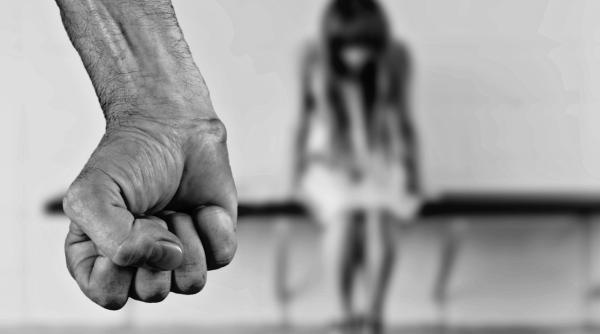 a fost constituita comisia parlamentara romania fara violenta domestica