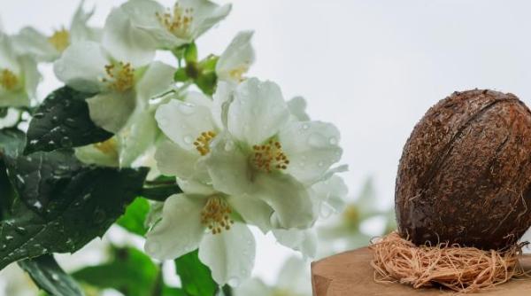 scumpiri masive pe piata cosmeticelor ingredientele care dau peste cap industria frumusetii