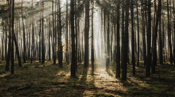 trei copii gasiti dupa ce au trait aproape 4 ani in salbaticie