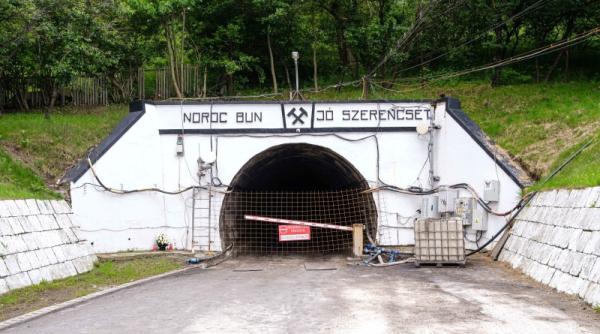 salrom da vina pe radu miruta pentru dezastrul de la salina praid ar fi trebuit sa cunoasca legislatia in domeniu