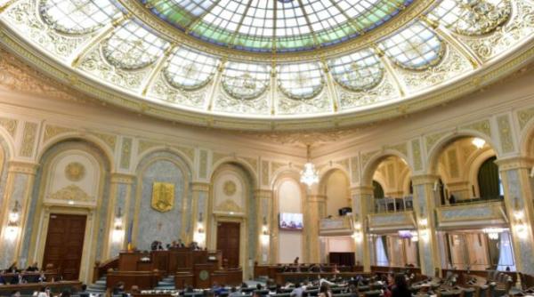 nicio actiune nu se face fara a testa terenul inainte scenariu despre femeia care a intrat cu cutite in parlament pe motiv ca le a uitat in portfard