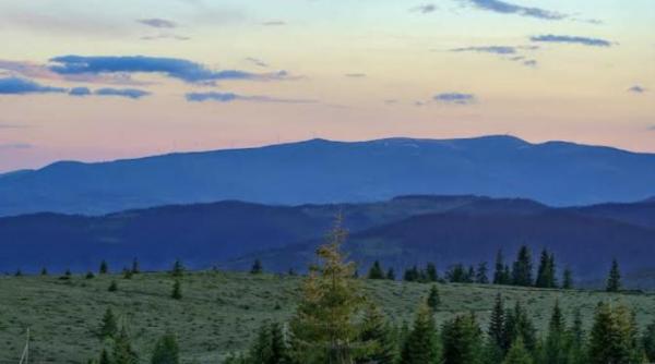 reforma administrativ teritoriala pe sest comasare pe semnatura privata in alba si cluj 8 milioane de hectare de padure miza afacerii