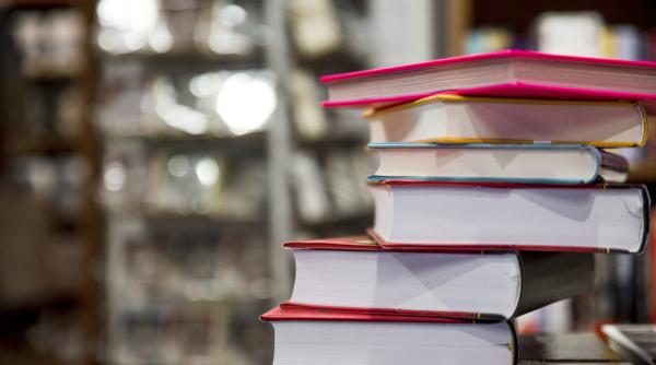 romania se intoarce la vremea morometilor economie de 300 de lei dar costuri uriase pentru viitorul copiilor