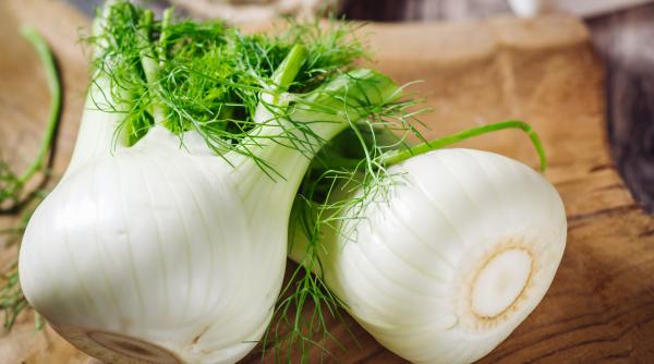 trei tipuri de afectiuni pe care le poti combate cu ajutorul feniculului