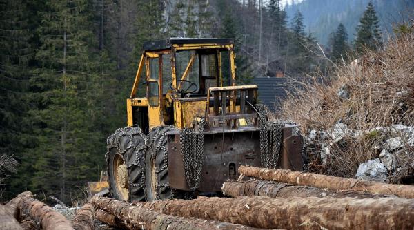 filmarile garzii de mediu devin probe in instanta diana buzoianu infractorii de mediu nu mai trebuie sa scape