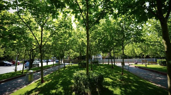 bucurestiul intre modernizare si inertie dupa zece ani de schimbari