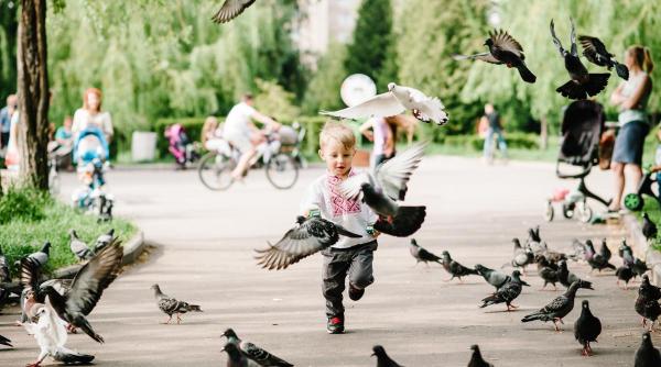 mama nu ma poate obliga sa mananc mamaliga cu ciorba miruna cajvaneanu despre lupta copiilor romani din italia cu dubla identitate