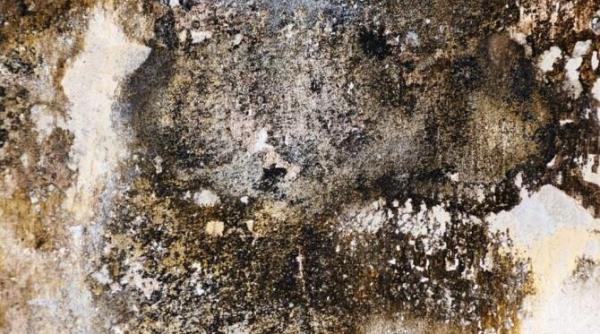 cum sa scapi de igrasie fara batai de cap solutii care chiar functioneaza