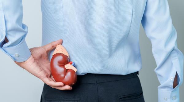 ziua mondiala a sindromului hemolitic uremic atipic