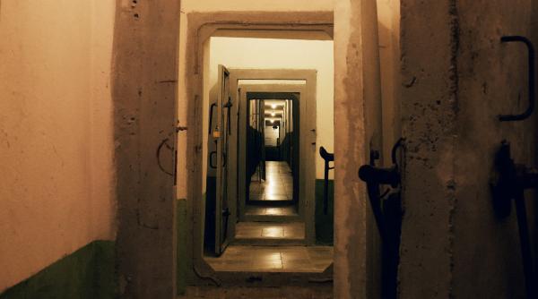 buncare si plase anti drona in tarile nato din apropierea rusiei