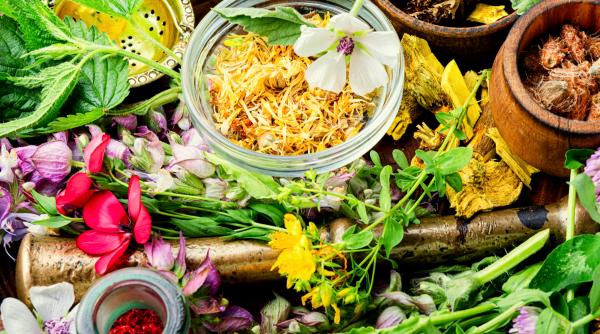 plantele care curata sangele si imbunatatesc circulatia elimina toxinele din corp