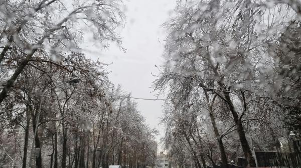 florinela georgescu anm la dc news cand vine iarna in acest an