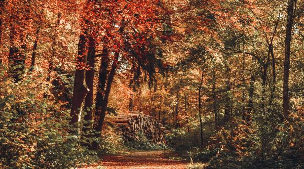 uraganul gabriel aduce vreme calda in romania schimbare importanta de vreme dupa racirea accentuata