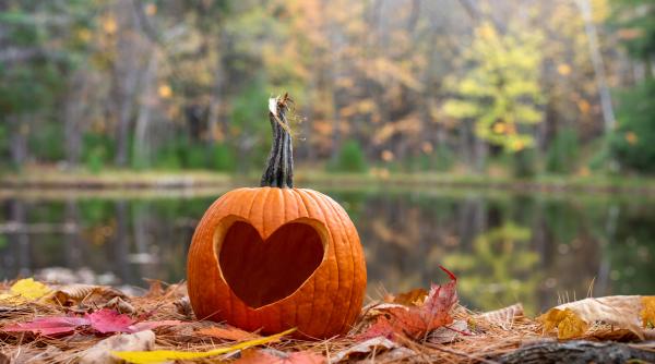 horoscop octombrie 2025 pentru berbec taur gemeni rac leu si fecioara