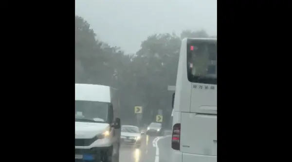 veste buna despre vreme ce urmeaza dupa prapadul din tara nu vine iarna video