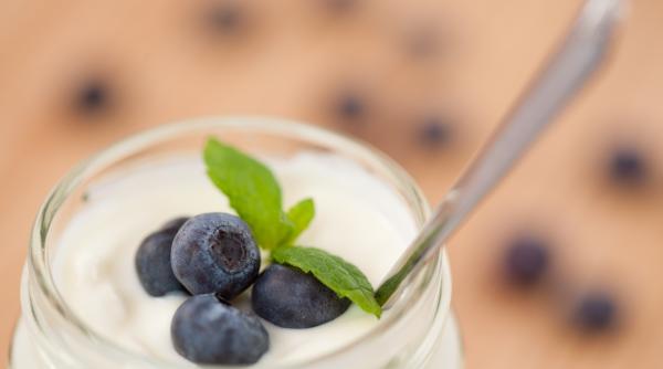 cum au reusit cercetatorii danezi sa prepare iaurt folosind furnici