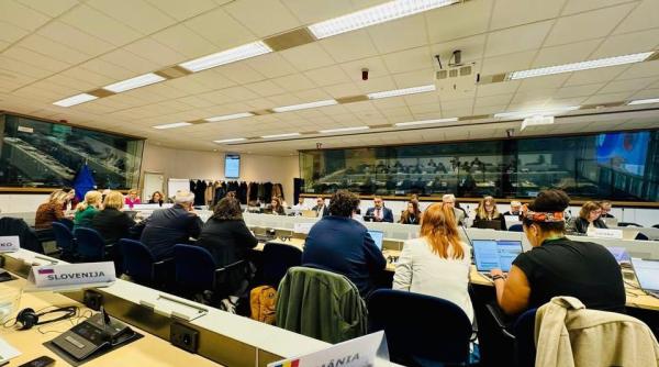 iulian paraschiv la reuniunea platformei europene pentru romi experienta romaniei poate servi drept inspiratie foto