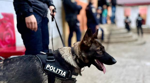 razie de amploare intr un judet din romania perchezitii teste antidrog permise retinute si suspecti dusi la audieri