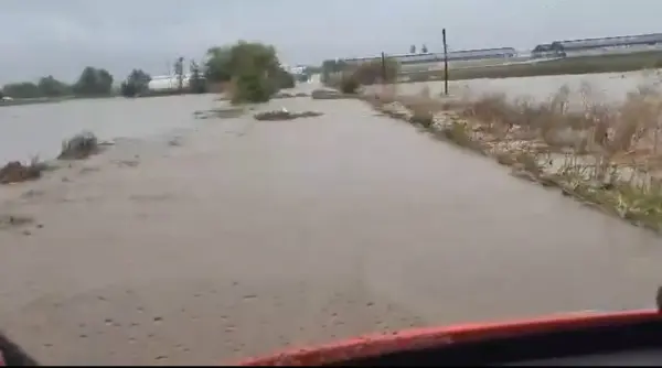 un sofer luat de viitura cu tot cu masina in constanta altii s au urcat pe plafoanele autoturismelor pentru a scapa de ape video