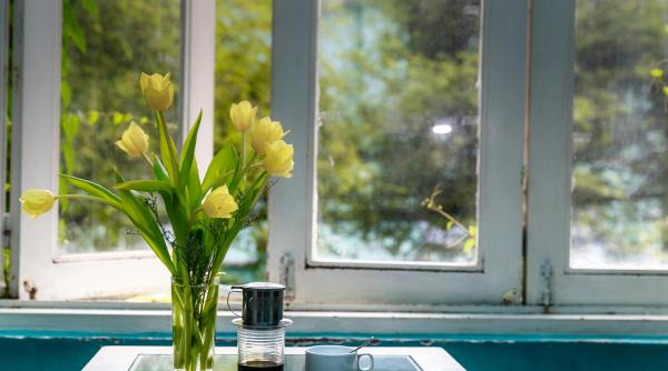 secretul nemtilor pentru aer proaspat in casa chiar si iarna