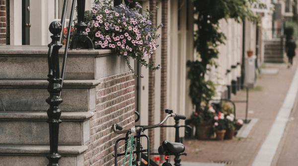 regula contactului vizual cum sunt invatati copiii din olanda sa traverseze de la 4 ani