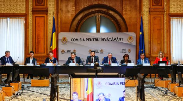 viitor fara gripa initiativa de constientizare si schimbare de politica publica pentru vaccinarea antigripala la copii