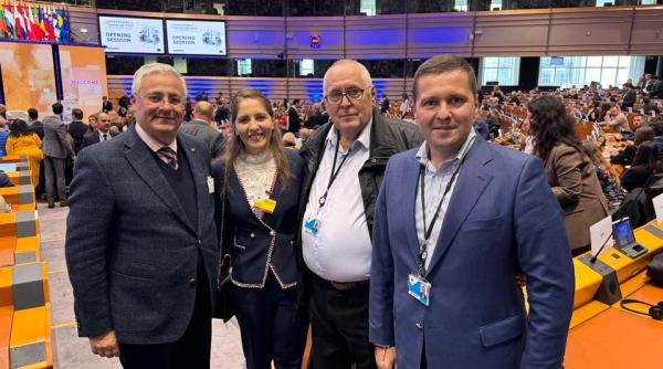 corneliu stefan din nou la bruxelles