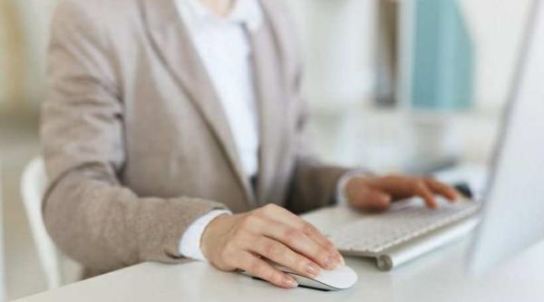 negoita arata unde sunt de fapt functionarii care stau degeaba nu toata ziua tot anul