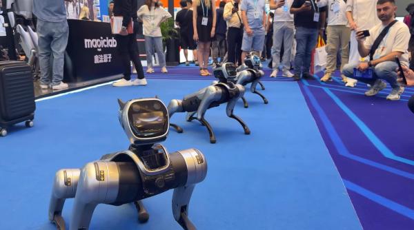 cainii roboti patruleaza strazile din china