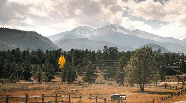 teren vecin cu gospodariile oamenilor facut din birou arie protejata acest soricel mai traieste doar aici si n ungaria