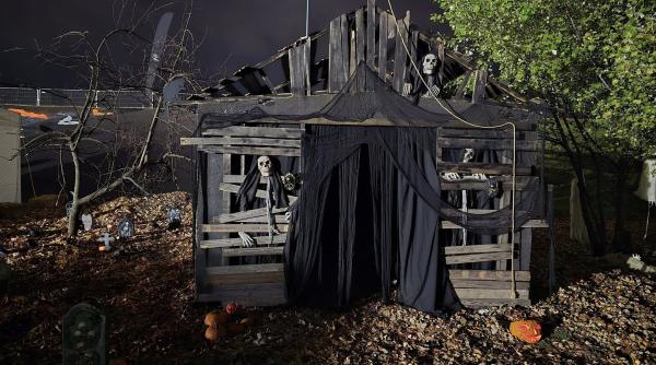 bolojan cel mai probabil el va fi candidatul pnl la primaria bucuresti