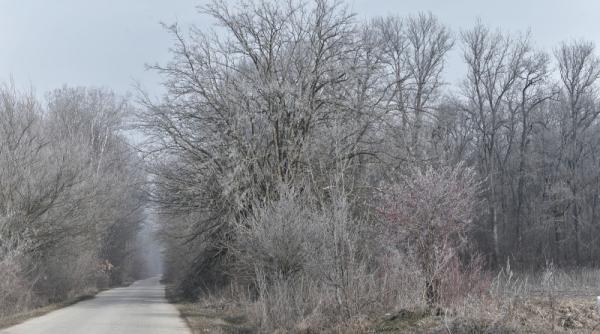 descoperire macabra intr o padure din harghita doi tineri gasiti morti