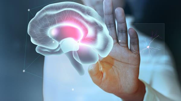 neurostiintele si neurologia sinergii pentru viitorul neuroreabilitarii inovatie si solutii reale pentru pacienti