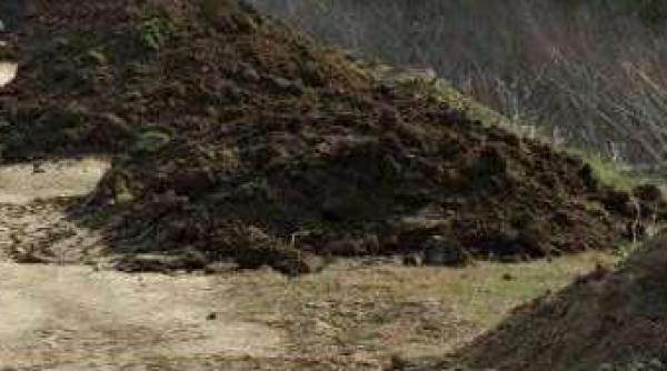 barbat inghitit de un mal de pamant in macin sase persoane printre care un bebelus evacuate din gospodarie