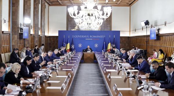 care e rolul viceprim ministrului in romania