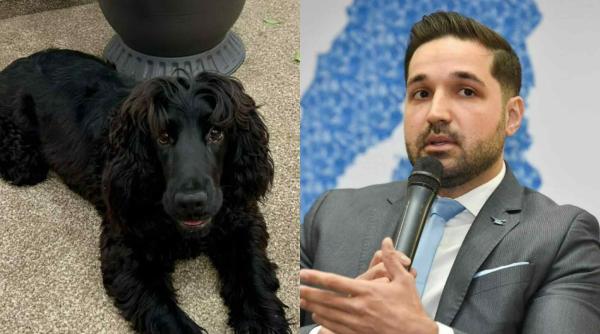 lovitura asupra unui animal costa 35 de lei protest pentru catelusa katya si reactia politistilor marturia lui tudor tim ionescu