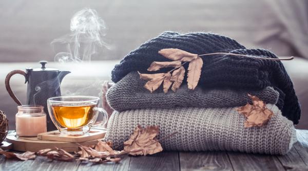 horoscop noiembrie 2025 pentru berbec taur gemeni rac leu si fecioara