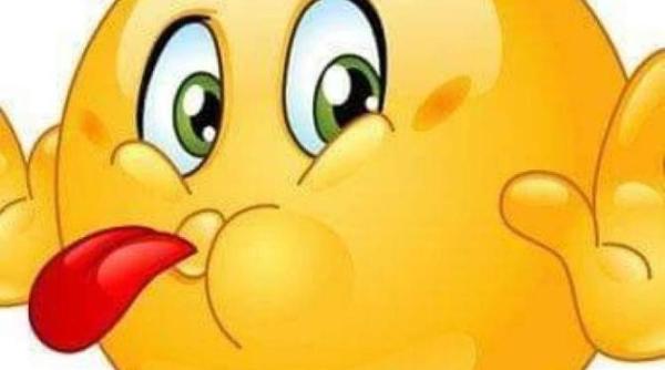 bancul zilei cand lovesti animalul