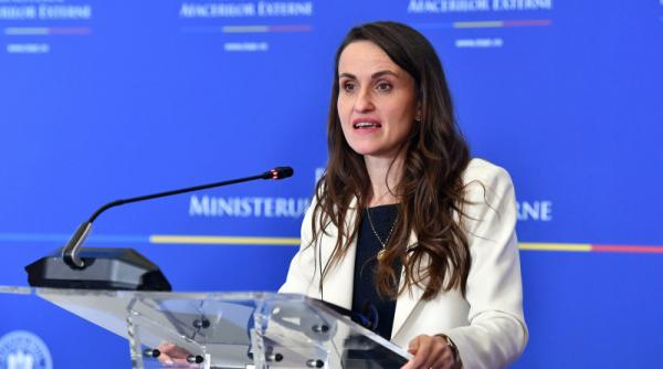 oana toiu discutie cu ambasadorul sua la nato matt whitaker