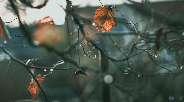 vremea pe o luna prognoza meteo pana in 1 decembrie