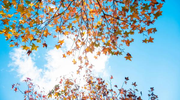 de ce a fost octombrie 2025 o luna atipica in romania meteorolog anm e in top 3 de cand se fac masuratori