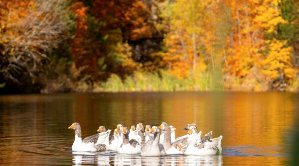 prognoza meteo pe doua saptamani pe regiuni se incalzeste