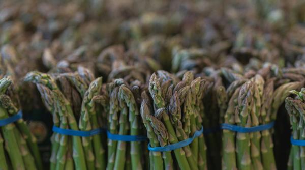 romanii nu mai pleaca la cules de sparanghel ministrul agriculturii mii de afaceri deschise in ultimii ani video